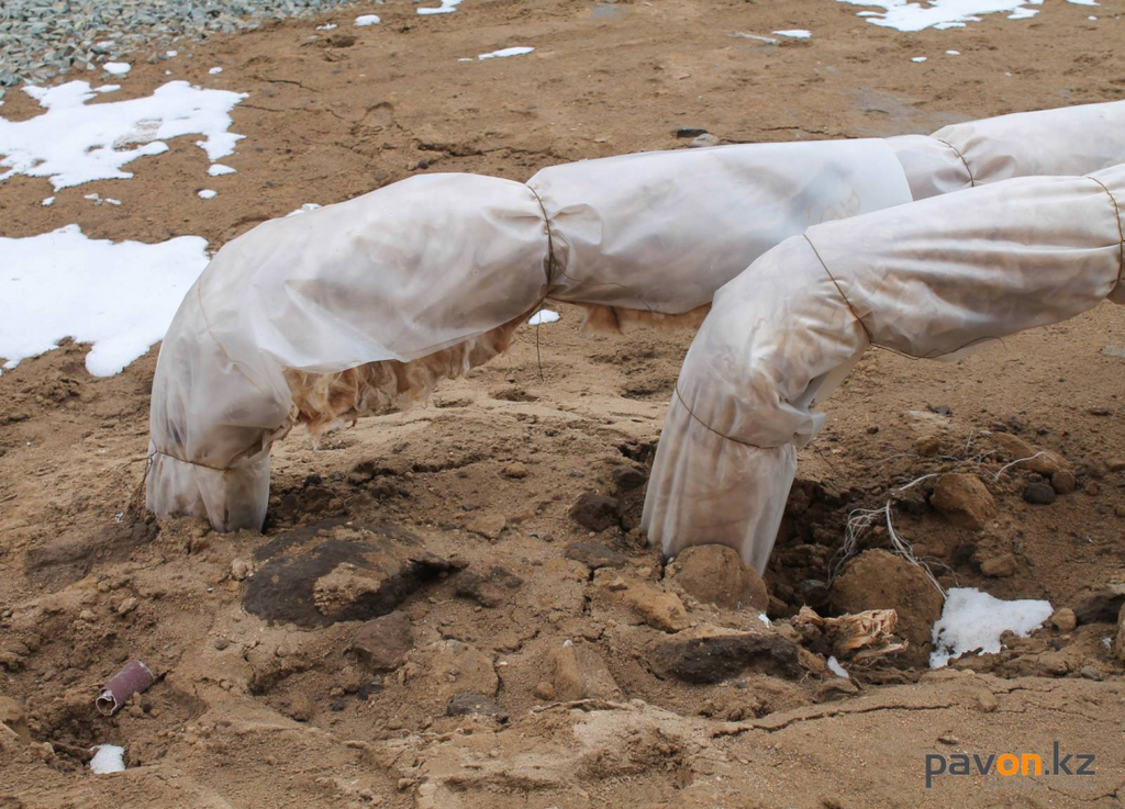 257fb42247f157dc9ddbae175d2ef6e08a216adf