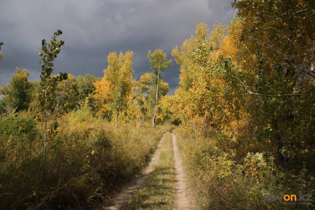 2c370182c14a7250678098f5bb0fb158fdacb233