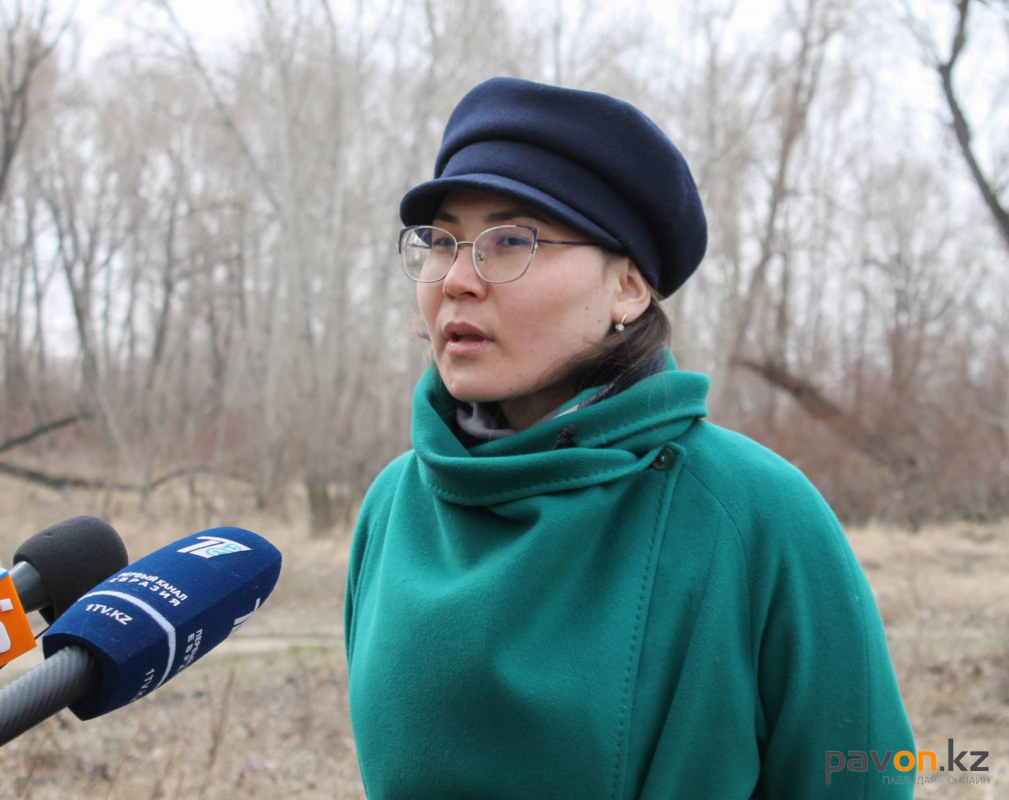 440fc86c67ebe5617501c3bdf58658b7dae2a963