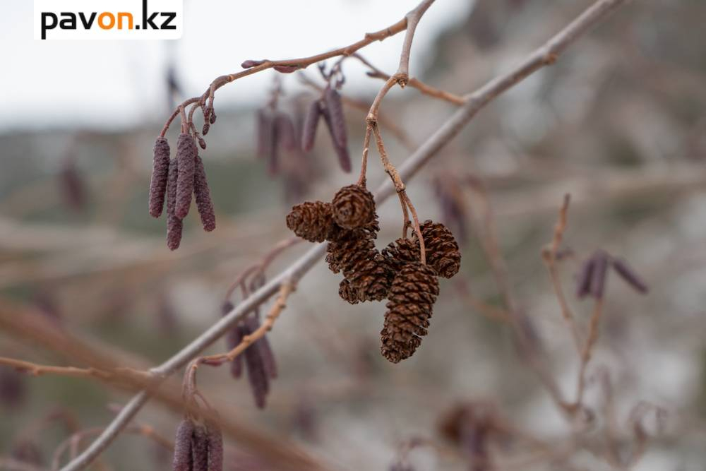 4b0b4d7f8d47cf13361c20b543a4da19aec3622b