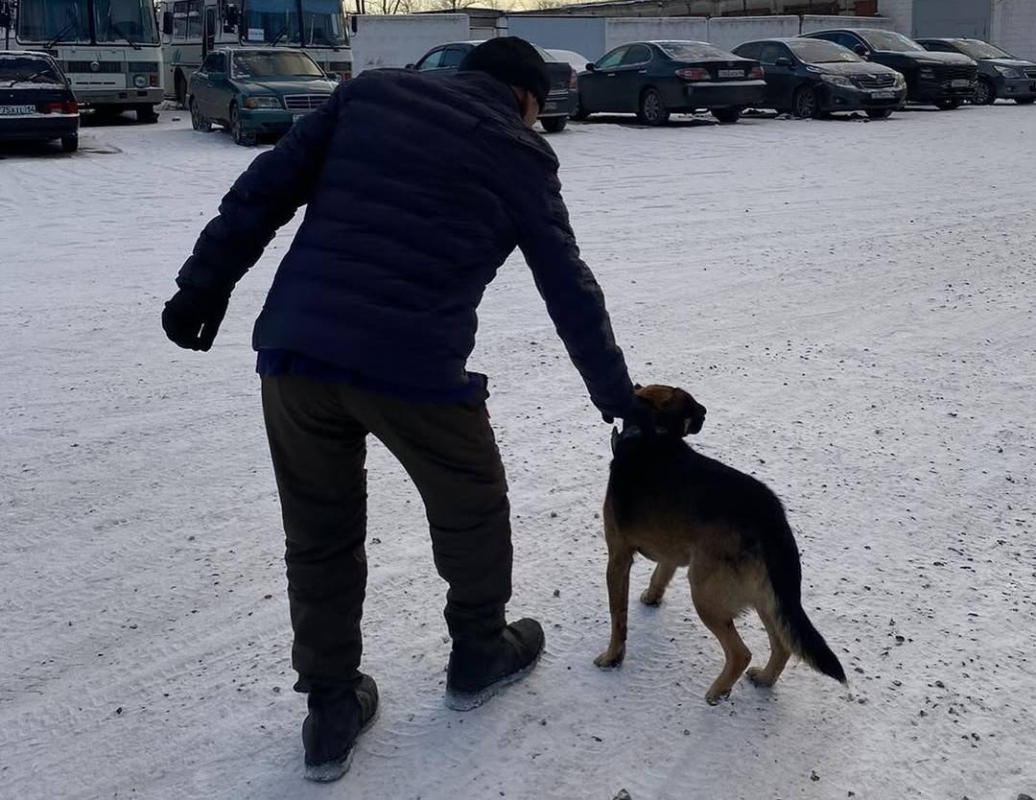 4fb7068311dde7a67793524a52bec68a62a21a7b