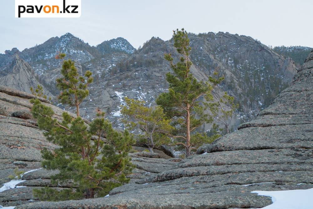 751b0e9f7c6af2e0004559ff2fed13bce98984bb