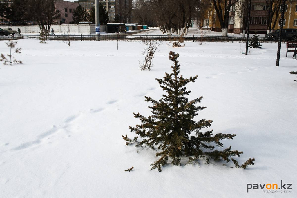 981cb2b8ee3584d09eebb39f68cdc207fbee0c44