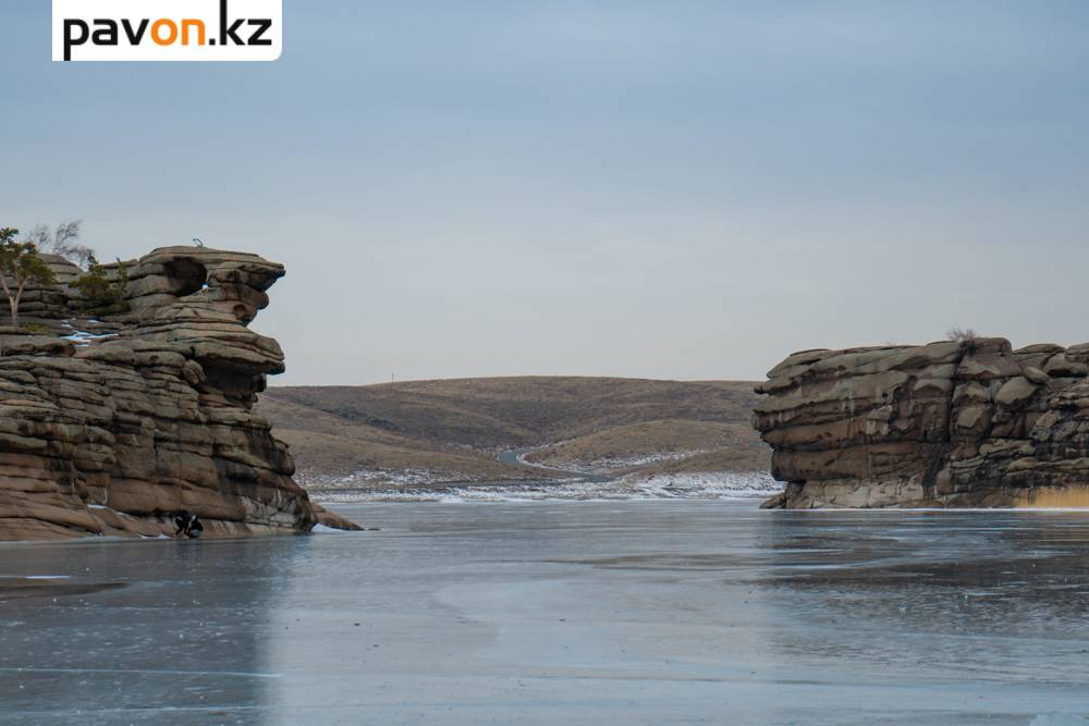 9cc63111a56a89989f23ea53d12f45f40494396c