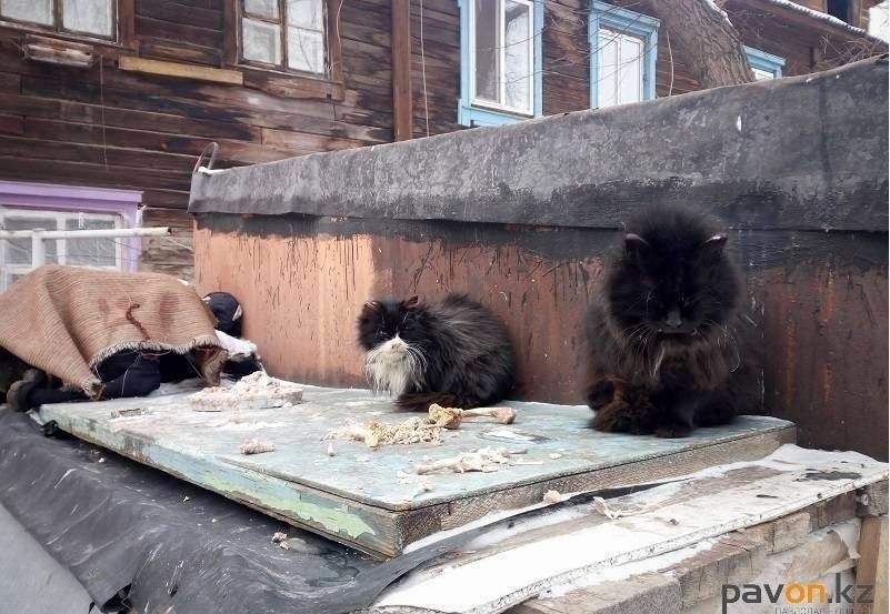 a2b7454fc7c8e1262ea2ccf7833cf5efd101752f