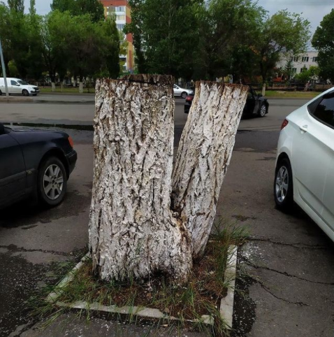 ba29d19ee93affb4a43c1f0d559ae04bf72bb845