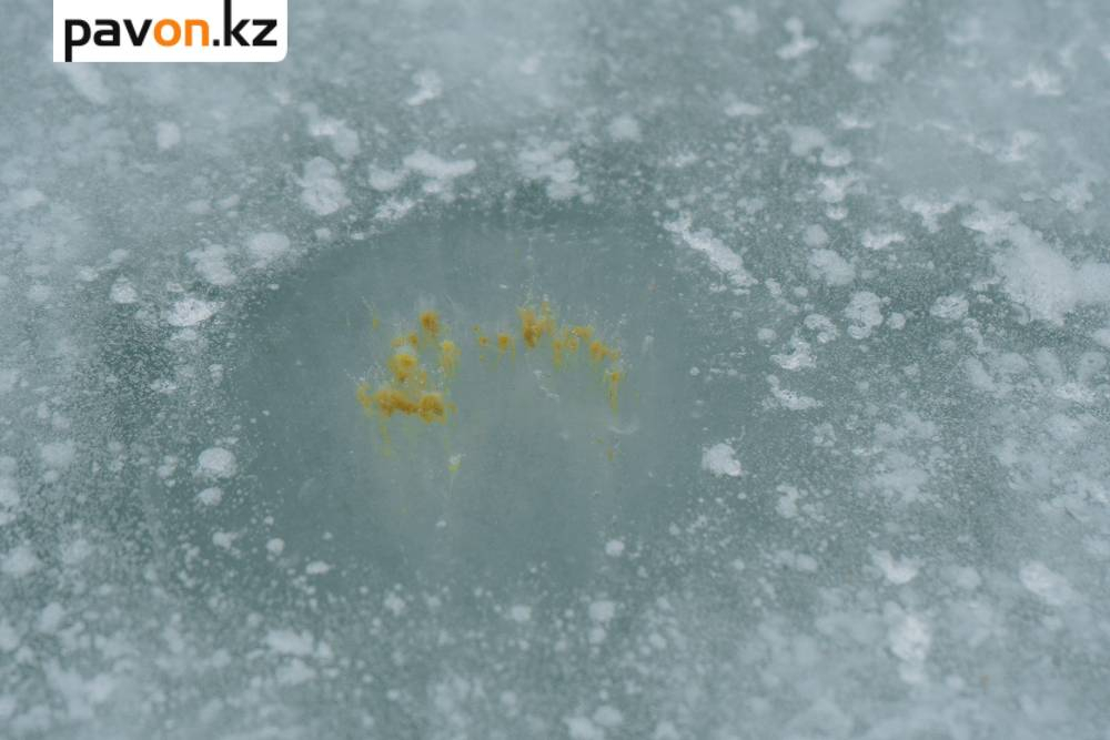 c8a0bb199f44a8378d1e451a2d4b65cbba3732d7