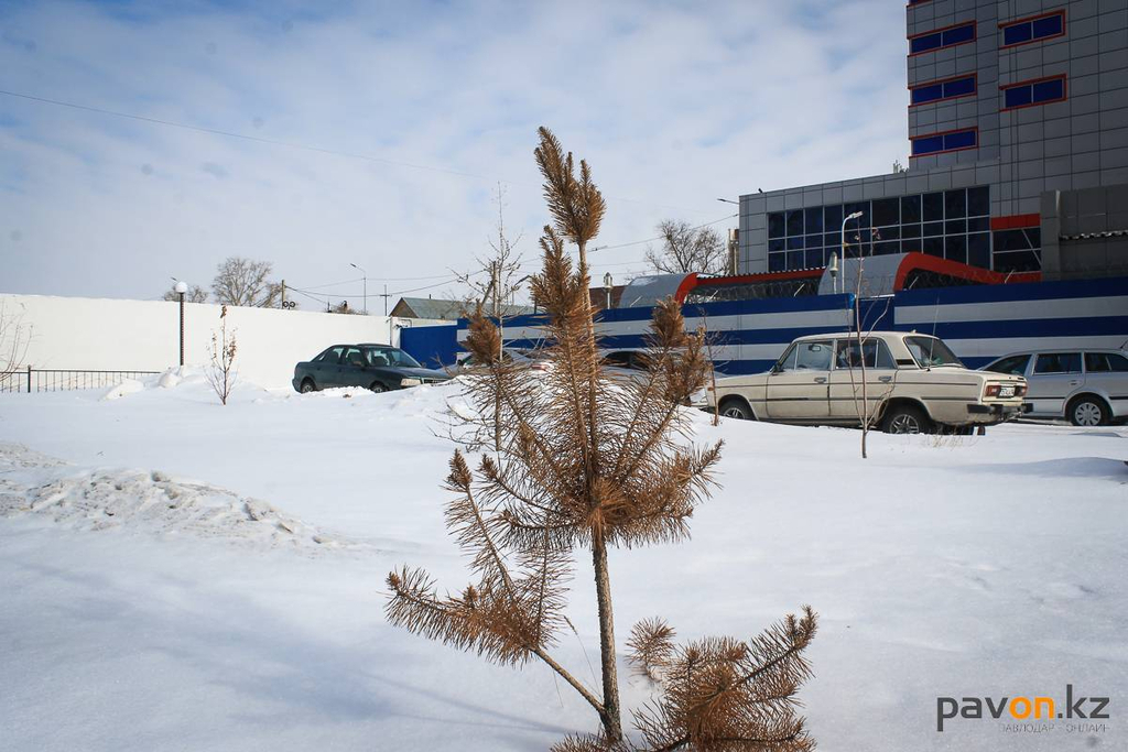 ced6df8caff0effccbd6dd1f86a1ed8ad725e5c0