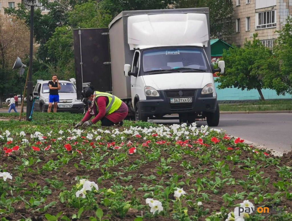 d961cec2333a4b01ec82cacdf6b247e93f9cd2c8